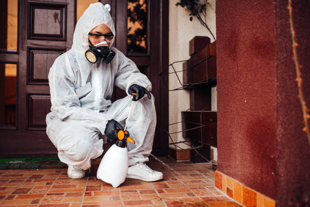 Reliable Mosquito Control contractor in Prairie Heights, WA by Show Me Pest Control